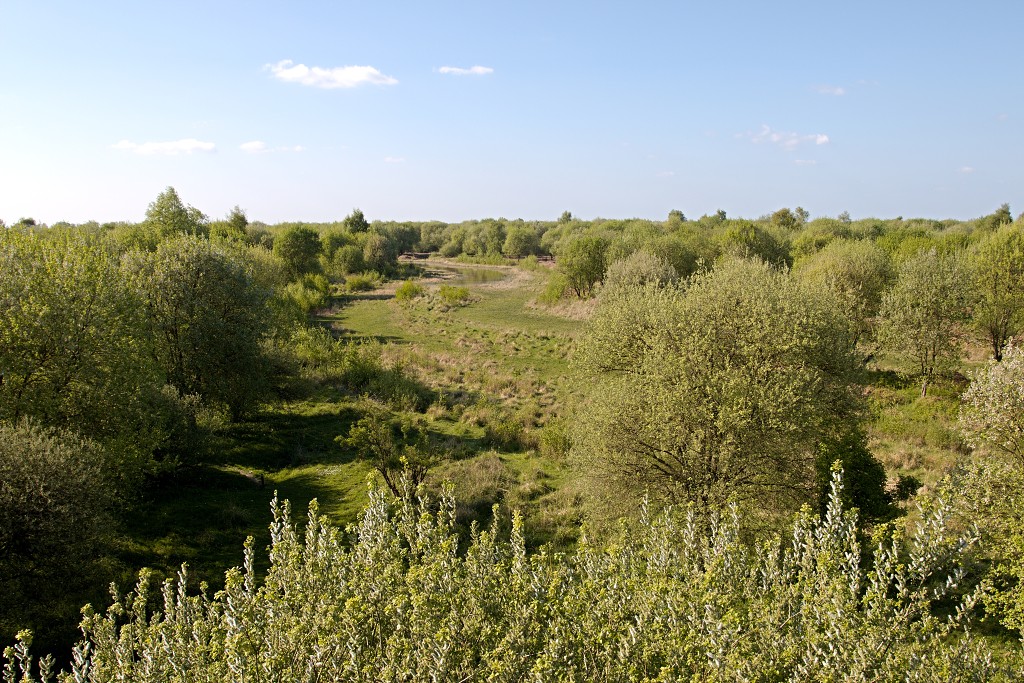 slikken van de heen natuurgebied natuur hdr Konikspaarden Uitkijktoren schotse hooglanders natuurmonumenten wisenten